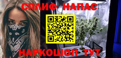 кокс Кингисепп