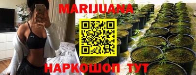 крисы Кинель