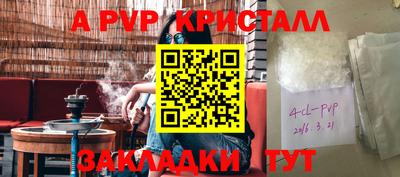 кокс Кингисепп