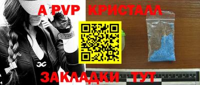 кокс Кингисепп