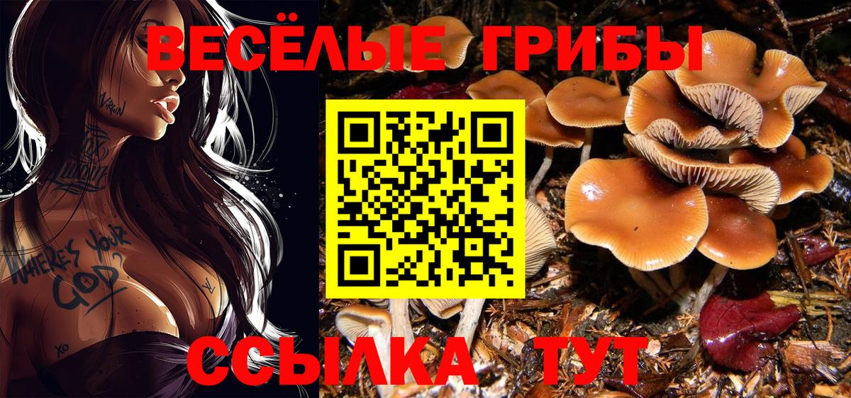 Псилоцибиновые грибы Psilocybine cubensis Смоленск